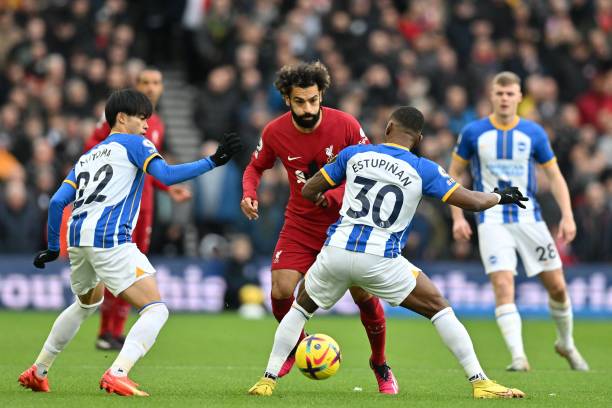 因为它是选 因为它是选